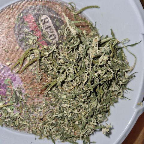Autumn growlog photo: 16. 08g total weight. Was stunted as first grow, over jutes, harvested early etc. All the noobie mistakes. Smokes well and definitely will try again with better lights and bigger pots. 
