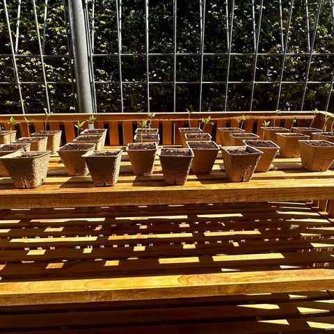 Wild Growth growlog timeline photo