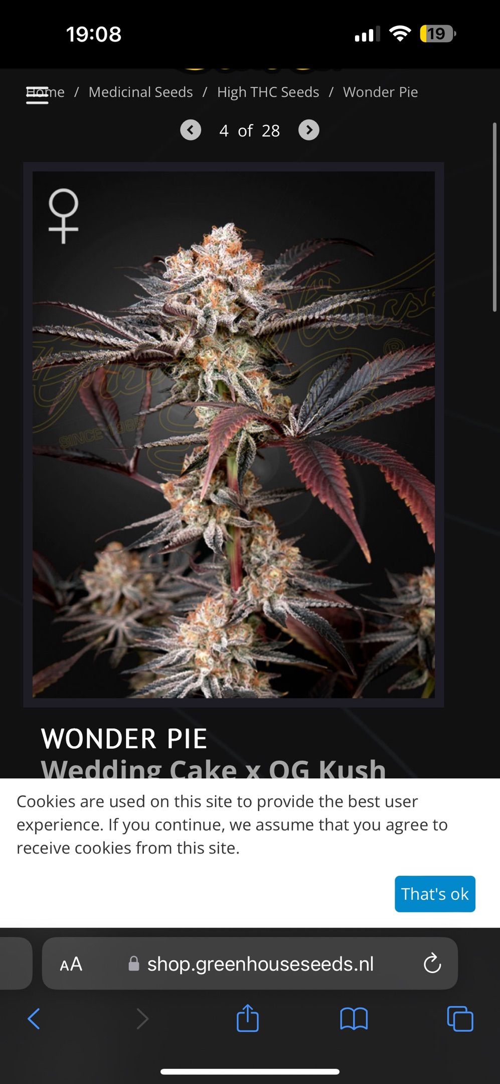 Gorilla Cookies Auto fast buds growlog header