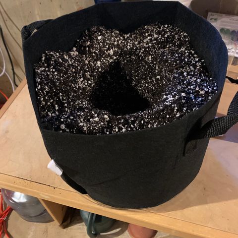 Lemon Pie growlog photo: Setting up the smart pots wi the new CocoLoco medium + 30% perlite, and fashioning out Solo cup sized hole for the seedling to move into 