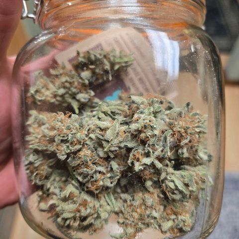 Cream Cheese  growlog timeline photo