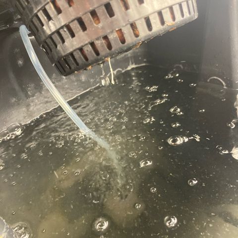 AMG growlog timeline photo