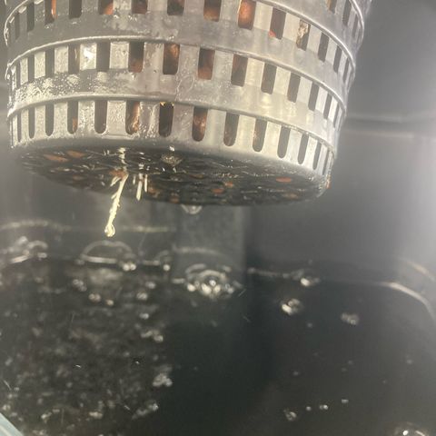 AMG growlog timeline photo
