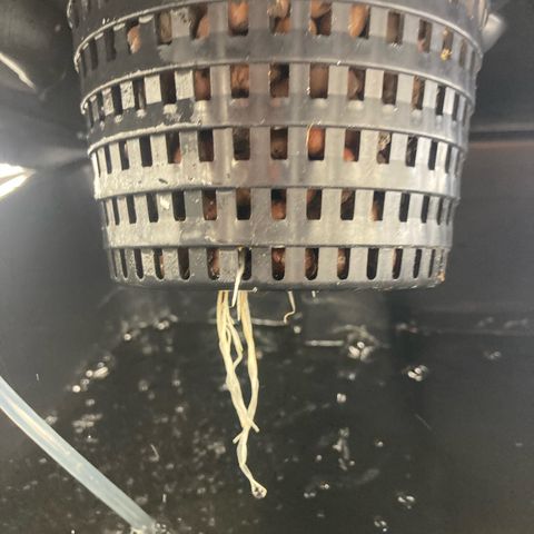 AMG growlog timeline photo