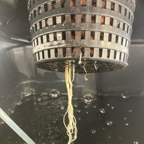 AMG growlog timeline photo