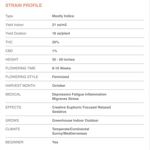 GSC x Jack Herer growlog photo: Strain Profile and estimated key dates based on 8 week veg and 10 week flower.