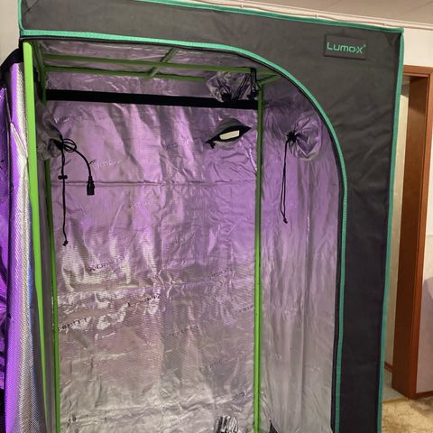 GSC x Jack Herer growlog photo: Needed a spot to turn this to flower next week so I picked up a 3x3x6 Lumo-x and a new Phlizon 1200 led light.  The 1200 was to replace the Phlizon 900 in the 4x4 tent for additional coverage.  Tent was $119, light for the 4x4 was $135 and the vivosun inline fan setup with speed control, charcoal filter and duct/clamps was $119.  Good purchase and still leaves the original Phlizon 600 for germination/seedlings in the side compartment 1x4