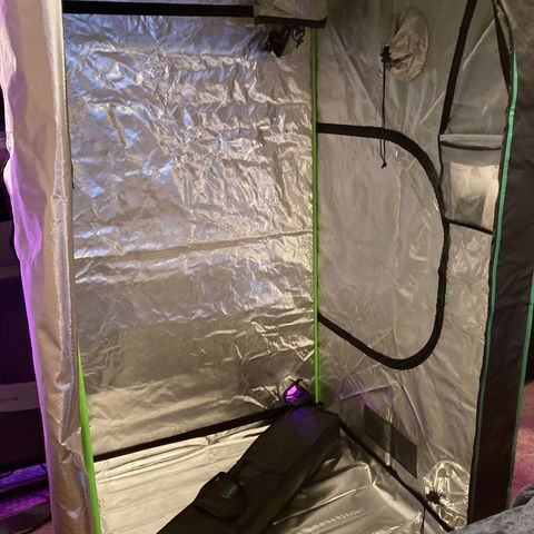 Nuken growlog photo: Got a new LumoX 4x4 tent.  Plants like the extra space.  Will add netting to this and should be flipping to 12/12 tomorrow.  That will complete 10 weeks in veg.  Might add netting and wait 2 more weeks for 12 weeks in veg.  Undecided.