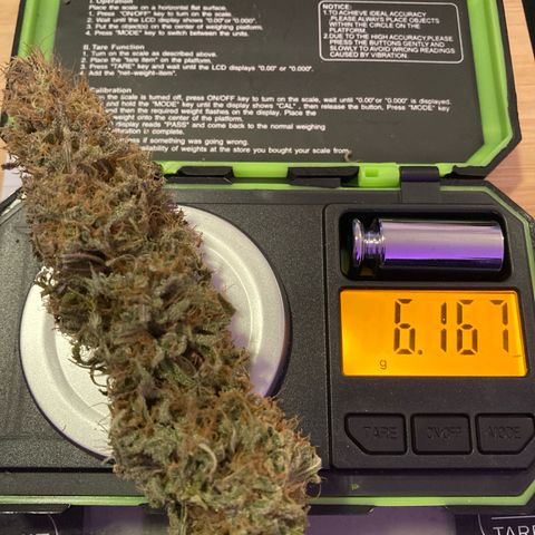GSC x Jack Herer growlog photo: Took about 4 hours to trim the whole plant.  The tray worked great and has 150 micron screen, so I collected enough kief for a joint.  Curing now in 1L glass mason jars with little hygrometers and Boveda humity packs (size 8, 62% Rh).  Will burp these for an hour daily for 8 weeks.  
The trim jar can be smoked after 2 weeks curing time.  Some decent, better than popcorn bugs in that graded jar (29g).  I’ll take at least 2 of the 3.5g buds and put aside for a years cure.  It has to be done to try the first grow properly cured for a year. Like a nice aged whiskey!
