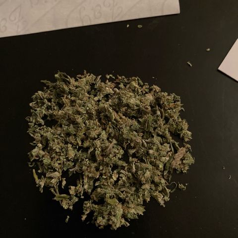 GSC x Jack Herer growlog photo: After 1 week of curing I had to sample some trim.  ✂️😎.   
Perfect dryness.  Very happy with that.  Good flavour, smooth, burnt nicely, clean ash.  Can’t wait until this has been cured for a couple of months.  