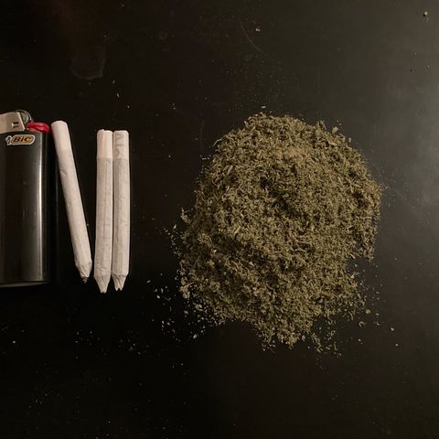 GSC x Jack Herer growlog photo: End of week 2 in curing.  Took the cured trim and made some milled pre-roll material.  Buds looking good.