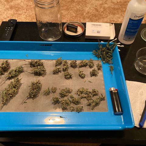 Nuken growlog photo: Trimming from the dried broken stems, and macro shot of the single topped.  Next week and this will be good to harvest. Flushing already started. 