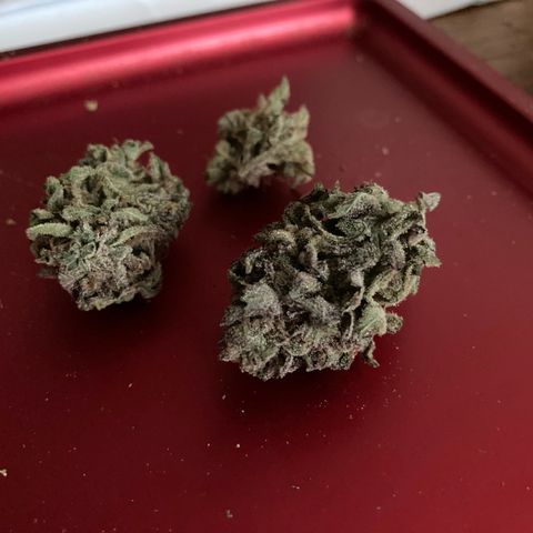 Nuken growlog timeline photo