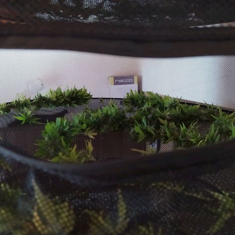 AK growlog timeline photo
