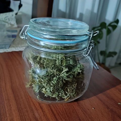 AK growlog timeline photo