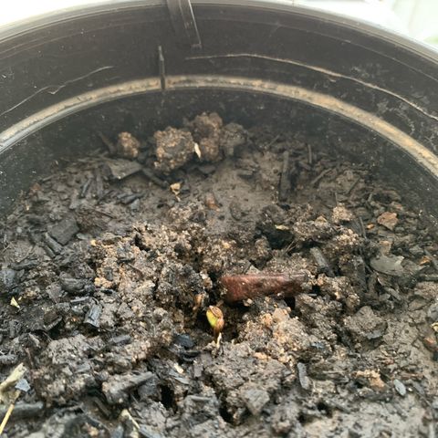 Gabié growlog timeline photo