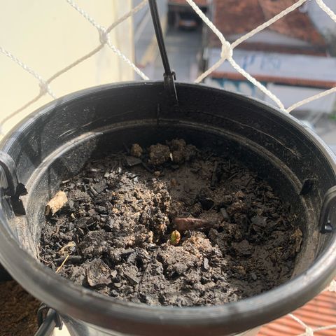 Gabié growlog timeline photo