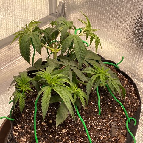 HPC #2 growlog photo: Good morning!
7:15am