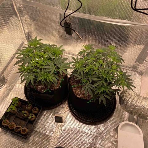 HPC #2 growlog photo: 2:05pm