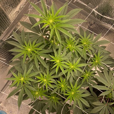 HPC #2 growlog photo: 11:00pm