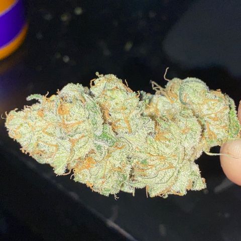 HPC #2 growlog timeline photo