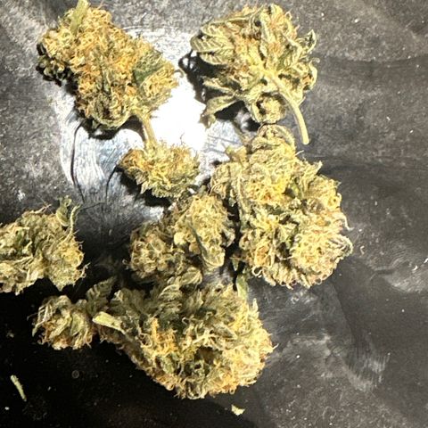 Lemore’ growlog timeline photo