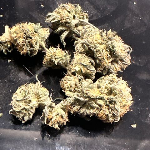 Lemore’ growlog timeline photo