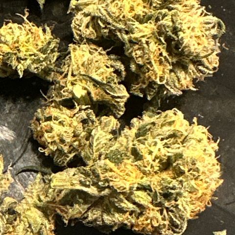 Lemore’ growlog timeline photo