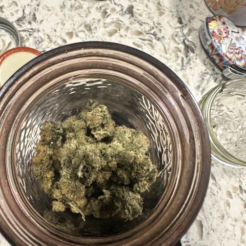 Lemore’ growlog timeline photo