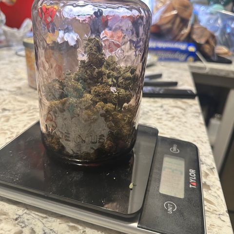 Lemore’ growlog timeline photo