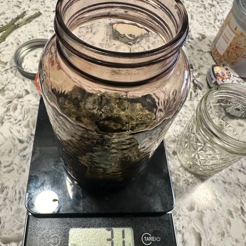 Lemore’ growlog timeline photo