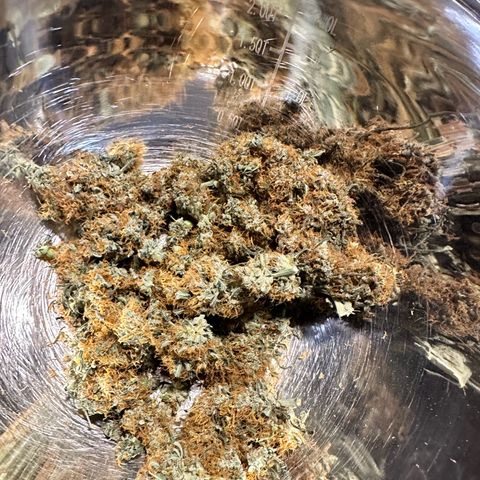 Maui Panama #2 growlog timeline photo