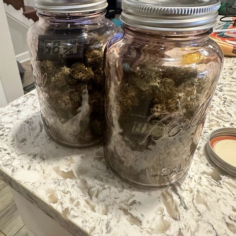 Maui Panama #3 growlog timeline photo