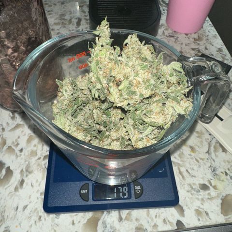 Fuegisima #5 growlog timeline photo