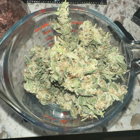 Fuegisima #5 growlog timeline photo