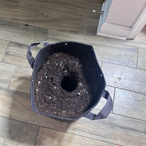Unknown strain growlog timeline photo