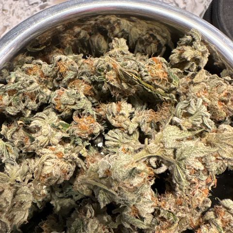 GMO Bomb growlog photo: 35.8 g