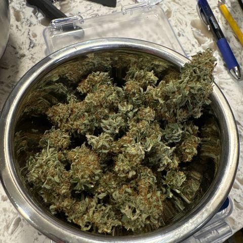 Cherry Lime Reserve growlog timeline photo