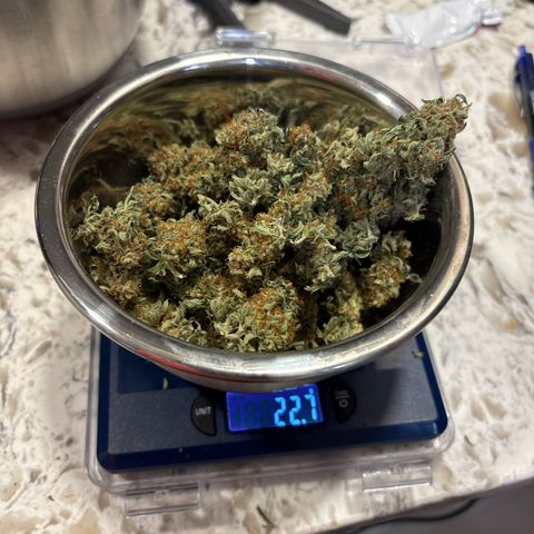 Cherry Lime Reserve growlog timeline photo