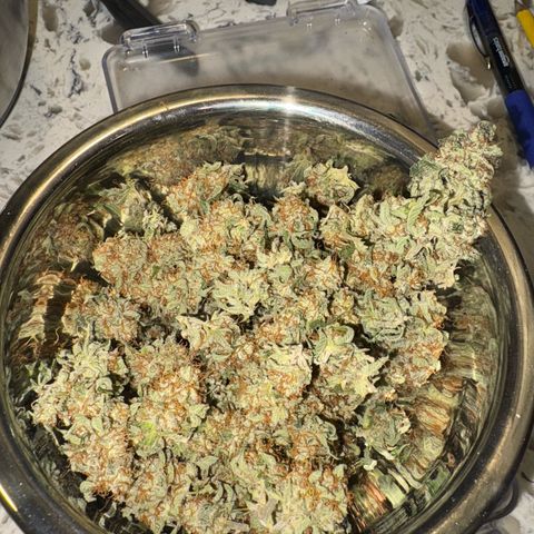 Cherry Lime Reserve growlog timeline photo