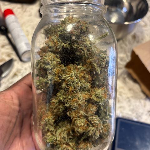 CLR #2 growlog photo: 45g
