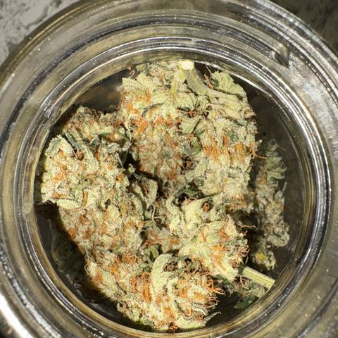 CLR #2 growlog photo: 45g