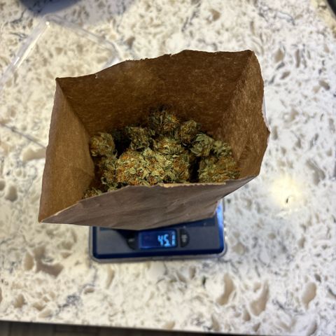 CLR #2 growlog photo: 45g