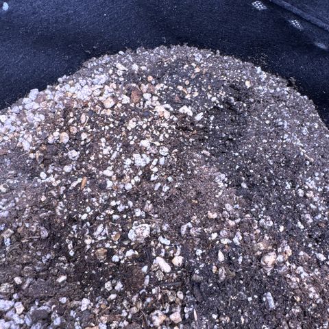 Second Lady growlog timeline photo
