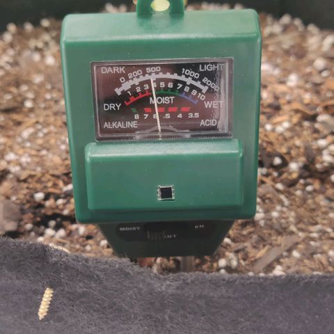 Athena growlog timeline photo