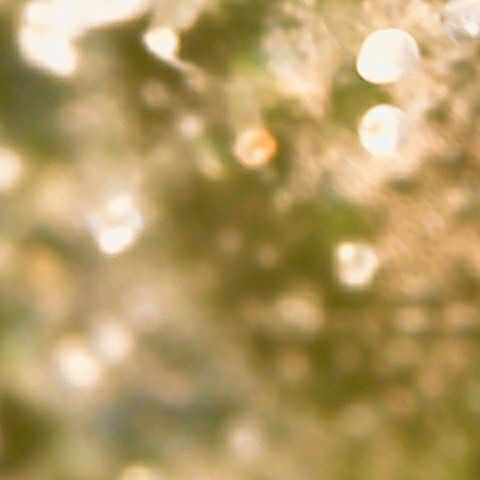 Athena growlog timeline photo