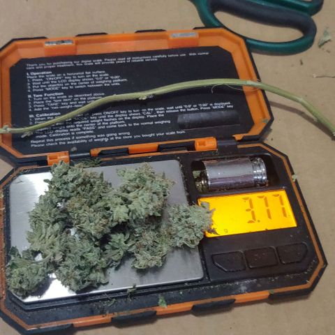 Athena growlog timeline photo
