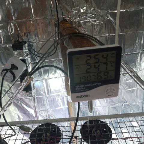 H3hemp (zumbi bride) growlog timeline photo