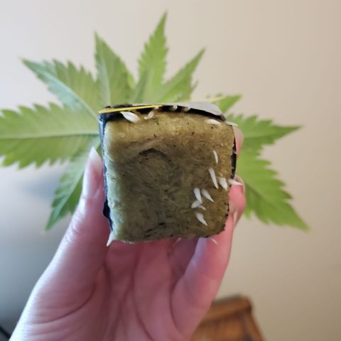 Gelat.OG Clones  growlog timeline photo