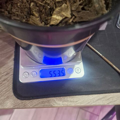 Nr 4 growlog timeline photo